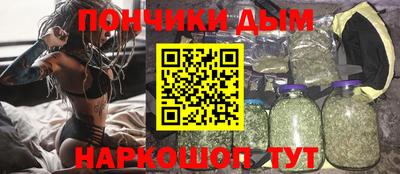 СК Дубна